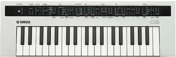 Ремонт Yamaha Reface Cs