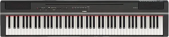 Ремонт Yamaha P-125B